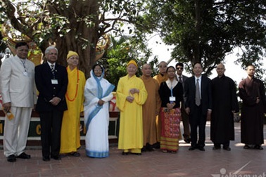 Cây Bồ đề độc nhất vô nhị ở Việt Nam